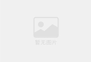 TD斗式提升机